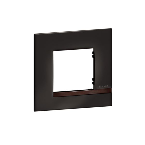 Plaque Altège Collection Déco 1 poste finition Onyx - noir brillant avec liseré bois foncé: th_BT-AL9ON1-WEB-R.jpg