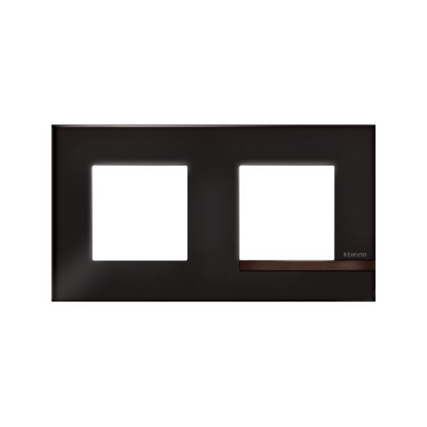 Plaque Altège Collection Déco 2 postes finition Onyx - noir brillant avec liseré bois foncé:th_BT-AL9ON2-WEB-F.jpg