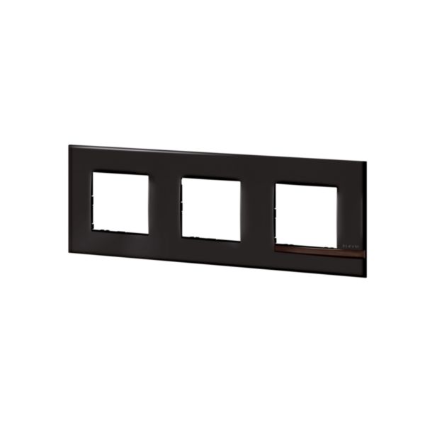 Plaque Altège Collection Déco 3 postes finition Onyx - noir brillant avec liseré bois foncé:th_BT-AL9ON3-WEB-L.jpg
