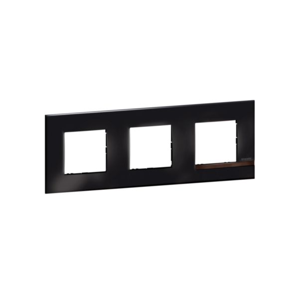 Plaque Altège Collection Déco 3 postes finition Onyx - noir brillant avec liseré bois foncé: th_BT-AL9ON3-WEB-R.jpg