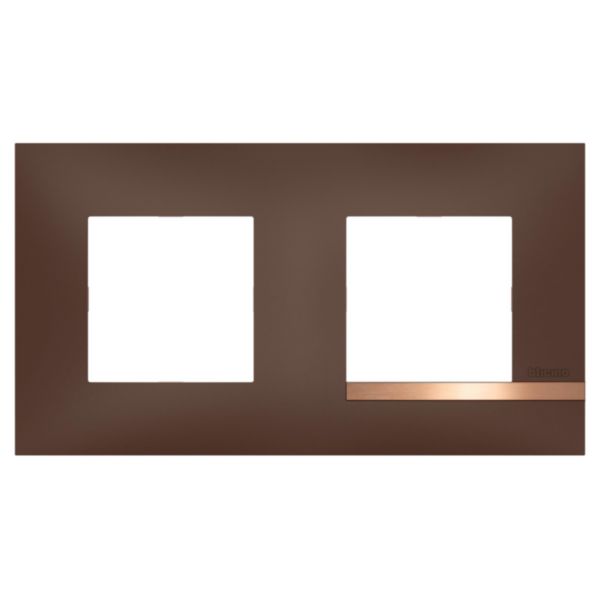 Plaque Altège Collection Déco 2 postes finition Terre de sienne - marron avec liseré effet cuivre:th_BT-AL9TS2-WEB-F.jpg