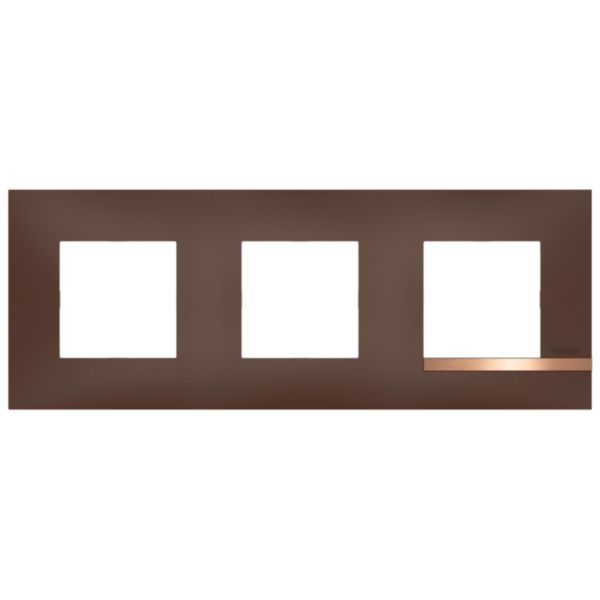 Plaque Altège Collection Déco 3 postes finition Terre de sienne - marron avec liseré effet cuivre:th_BT-AL9TS3-WEB-F.jpg