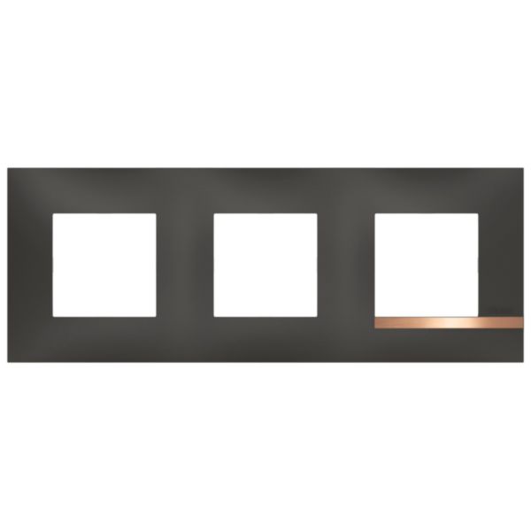 Plaque Altège Collection Mezzo 3 postes finition Note cuivrée - noir satiné avec liseré effet cuivre:th_BT-BTAL9NC3-WEB-F.jpg