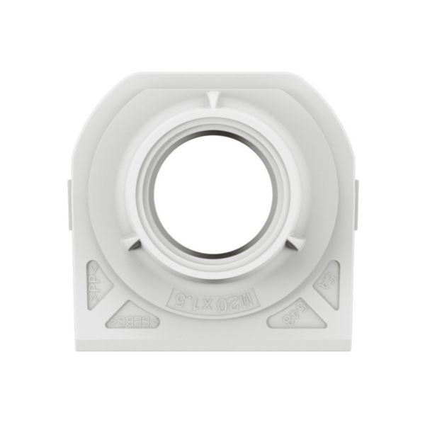 Embout presse-étoupe de remplacement pour boîtier saillie étanche Plexo 1 entrée filetage ISO20 - blanc: th_LG-069662L-WEB-F.jpg