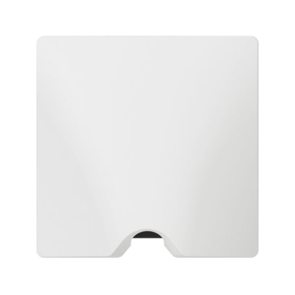Sortie de câble IP21 dooxie livrée complète avec plaque finition blanc: th_LG-600323-WEB-F.jpg