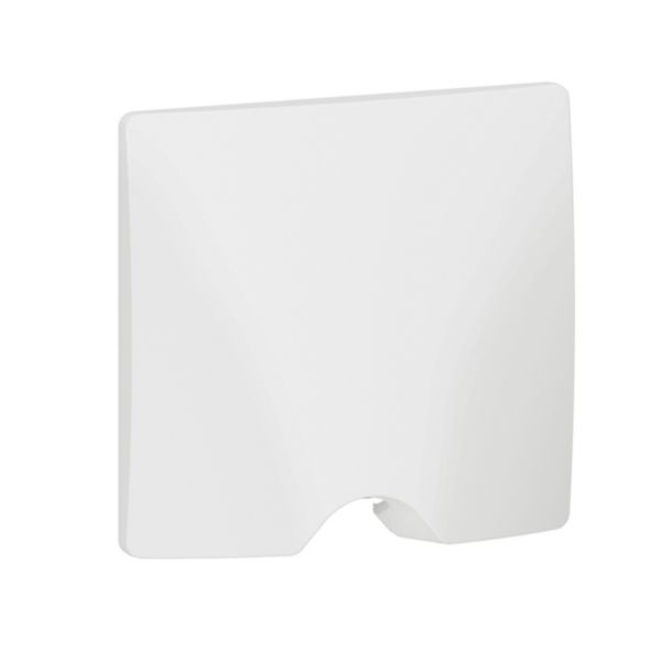Sortie de câble IP21 dooxie livrée complète avec plaque finition blanc: th_LG-600323-WEB-R.jpg