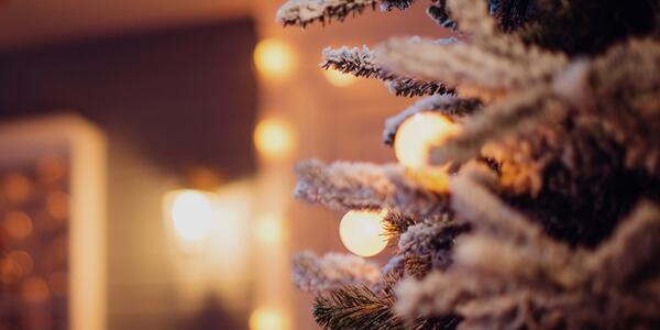 Actualités À la une Votre installation électrique est-elle prête à passer le cap des fêtes de fin d'année ?