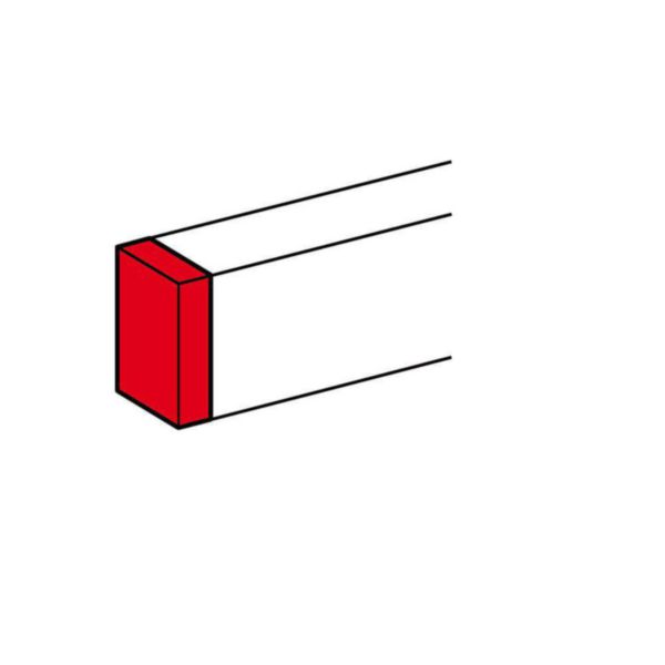 Embout pour goulotte DLP Aluminium 50x195mm avec 2 couvercles 85mm