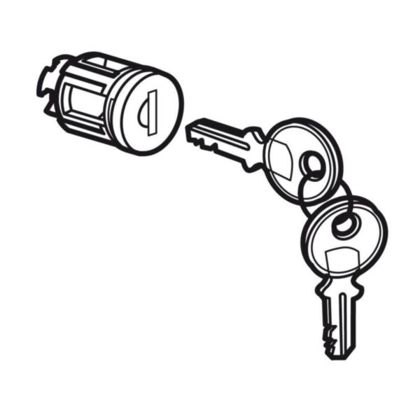 Barillet à clé type405 pour porte métal ou vitrée XL³800 , XL³400 et XL³160Avec 1 jeu de 2 clés