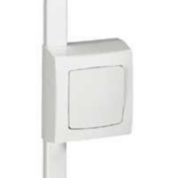 Cadre Appareillage saillie 1 poste pour pose sur moulure DLPlus épaisseur 20mm - blanc