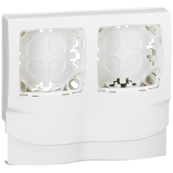 Cadre Appareillage saillie 2 postes pose le long des moulures gamme DLPlus épaisseur 12,5mm - blanc