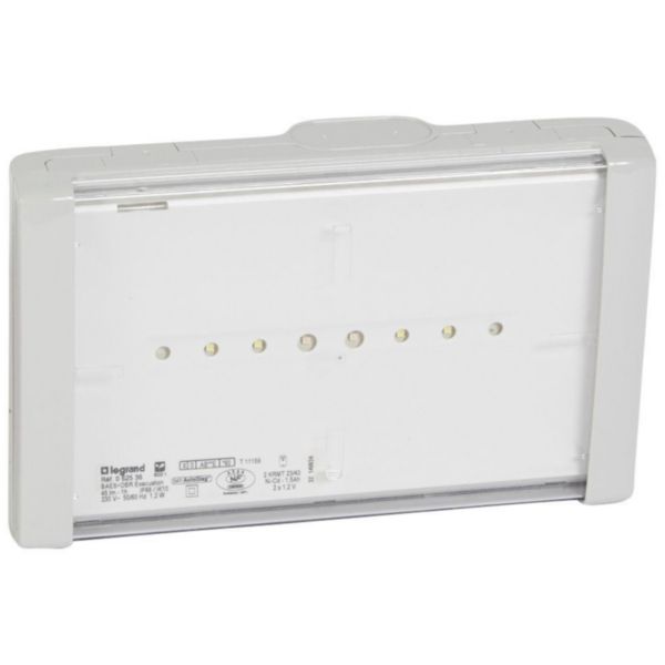 Baes d'évacuation DBR ECO1 à LEDs 45lm-1h plastique IP66-IK10 SATI sati autodiag