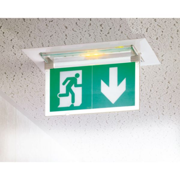 Plaque d'évacuation verticale pour baes et LSC d'évacuation à LEDs eco