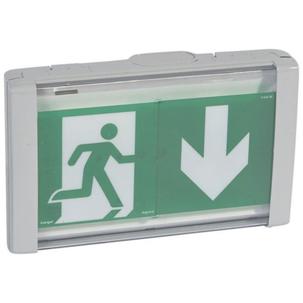 LSC d'évacuation à LEDs 45lm plastique étanche IP66-IK08 24/48v=
