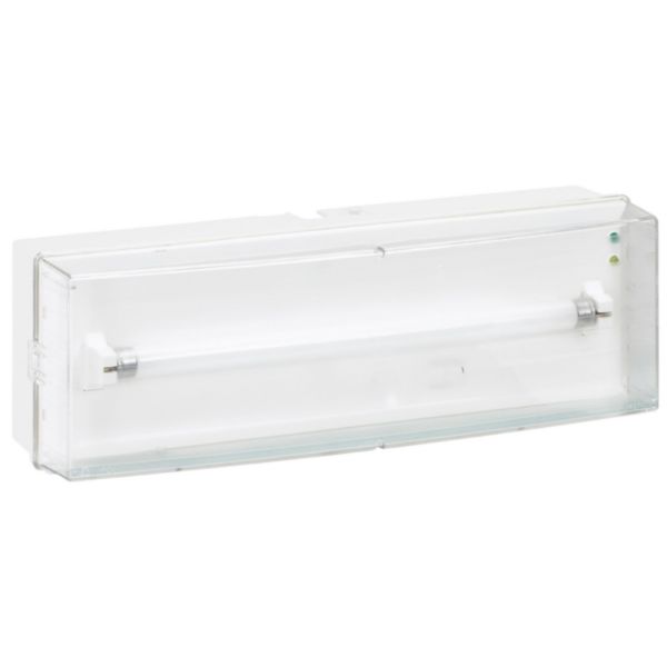 LSC d'ambiance à LEDs 400lm plastique étanche IP66-IK08 24/48v=