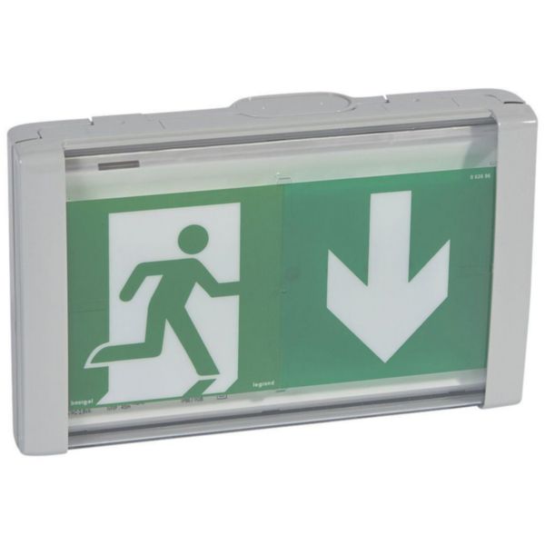 LSC d'évacuation à LEDs 45lm plastique étanche IP66-IK08 110/220v=/230~