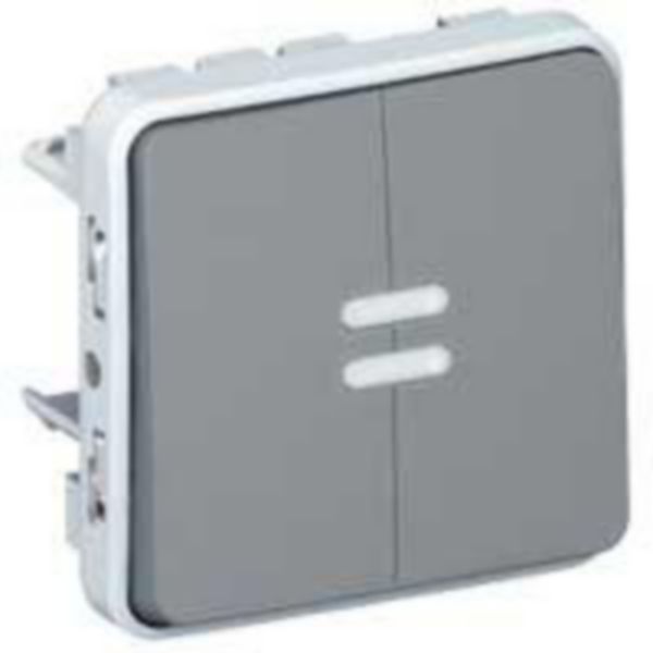 Double interrupteur ou va-et-vient lumineux étanche Plexo composable IP55 10AX 250V - gris