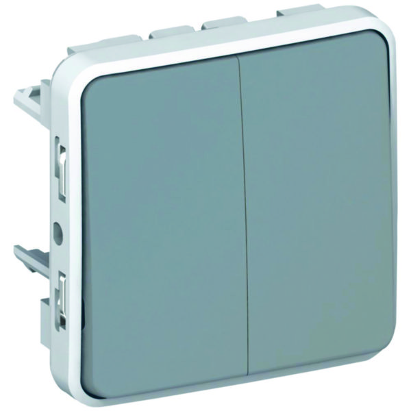 Double interrupteur ou va-et-vient étanche Plexo composable IP55 10AX 250V gris