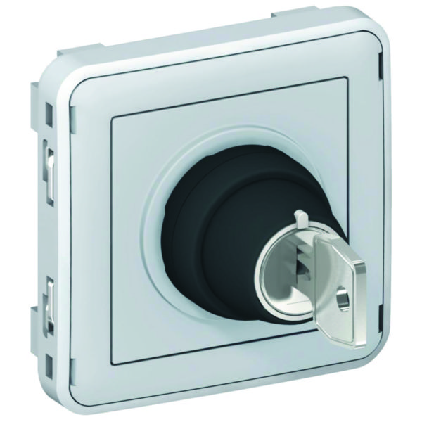 Interrupteur à clé Ronis n°455 2 positions Plexo composable IP55 3A 250V - gris