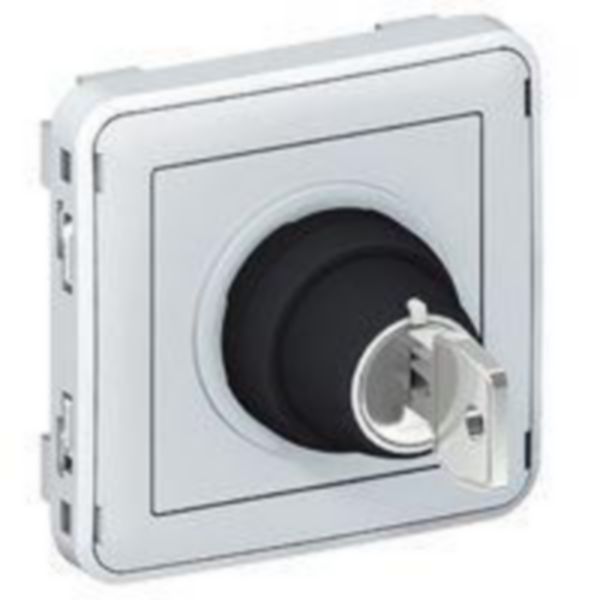 Interrupteur à clé Ronis n°455 3 positions Plexo composable IP55 3A 250V - gris