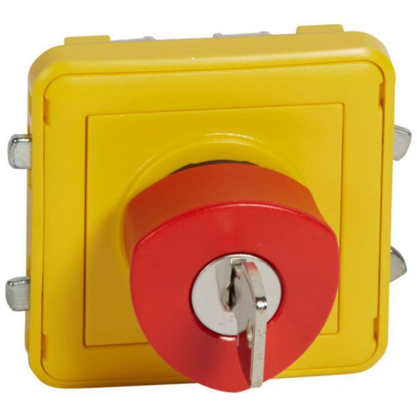 Poussoir NO+NF déverrouillage à clé Plexo composable IP55 3A 250V - gris/jaune