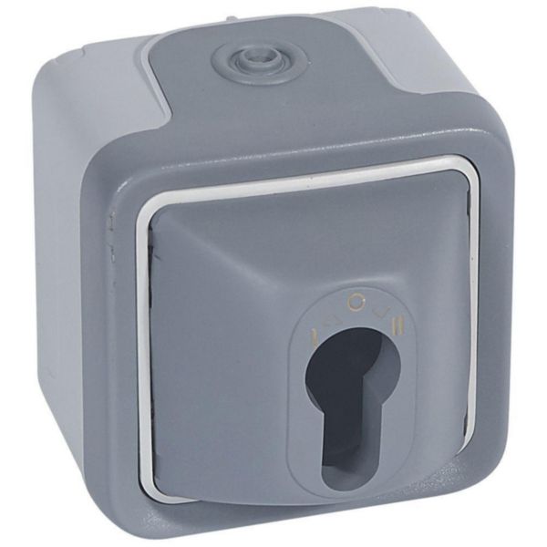 Interrupteur à clé Plexo complet IP55 saillie pour barillet européen - gris