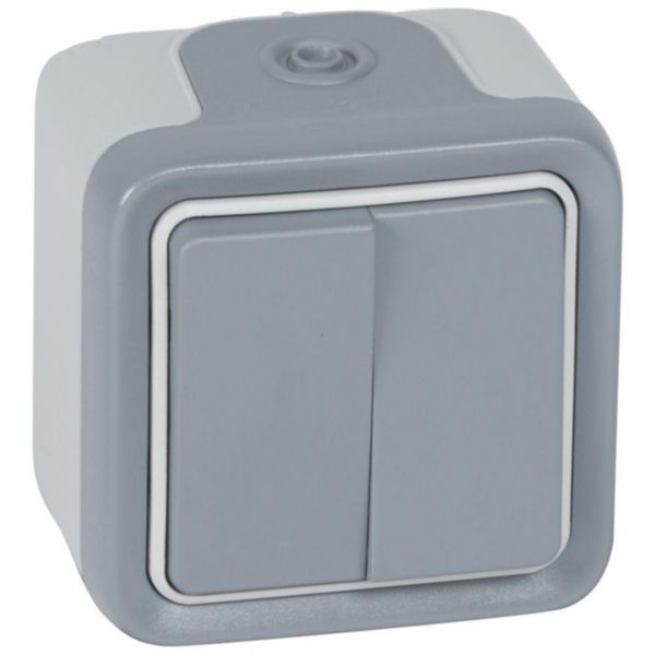 Double interrupteur ou va-et-vient étanche Plexo complet IP55 saillie - gris