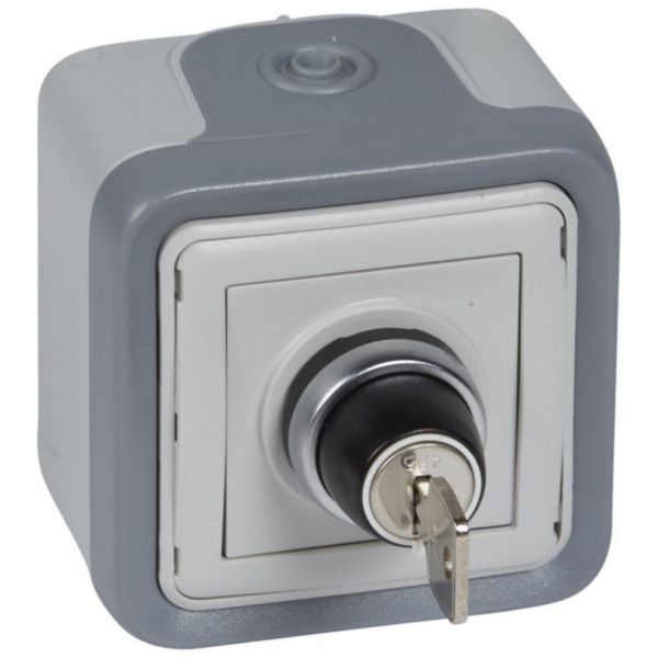 Coffret de commande de relayage IP55 IK07 avec commande réarmement