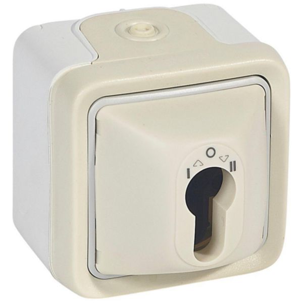 Interrupteur à clé étanche Plexo complet IP55 saillie pour barillet européen - blanc