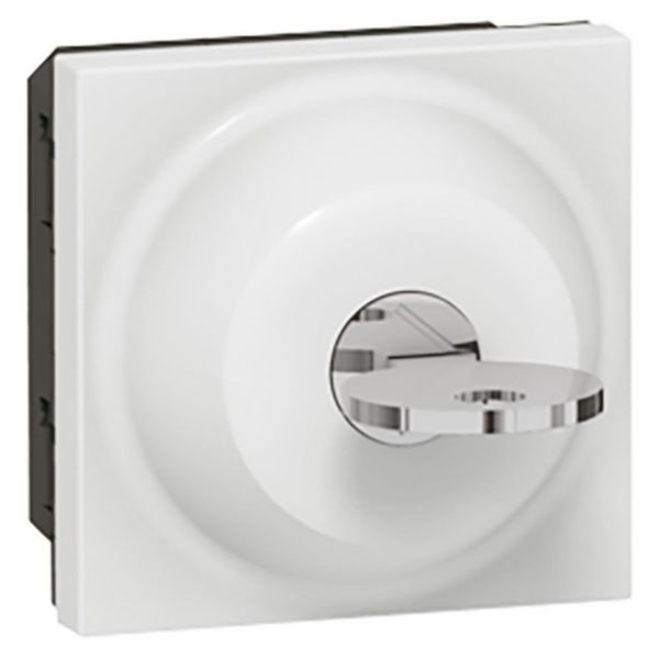 Interrupteur à clé RONIS n°601 Mosaic 2 modules avec 3 positions par inverseur 6A 250V~ - blanc