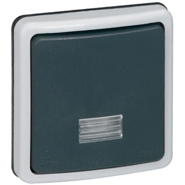 Interrupteur ou va-et-vient bipolaire étanche à voyant 10A Plexo IP66 composable - gris