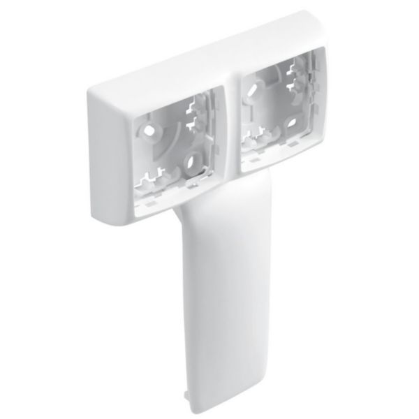 Cadre double Appareillage Saillie de Legrand ASL pour plinthe Keva 125x20mm blanc Artic