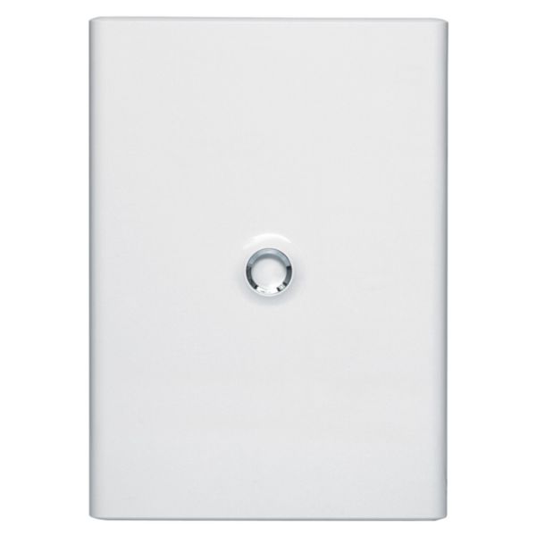 Porte Drivia blanche IP40 IK07 pour coffret réference 401223 - RAL9003