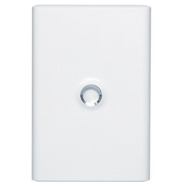 Porte DRIVIA blanche IP40 IK07 pour coffret réference 401212 - Blanc RAL9003