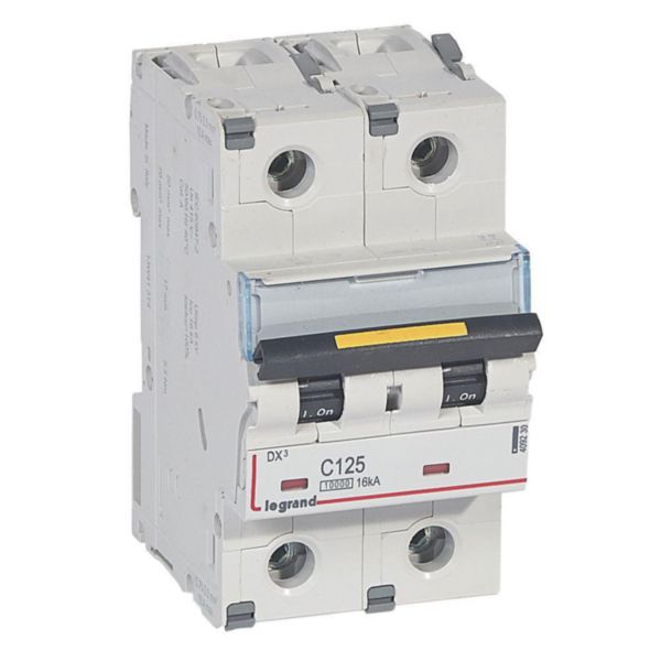 Disjoncteur DX³10000 16kA arrivée haute et départ bas à vis 2P 230V~ à 400V~ - 125A - courbe C - 3 modules - Page 26