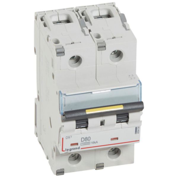 Disjoncteur DX³10000 16kA arrivée haute et départ bas à vis 2P 230V~ à 400V~ - 80A - courbe D - 3 modules - Page 17