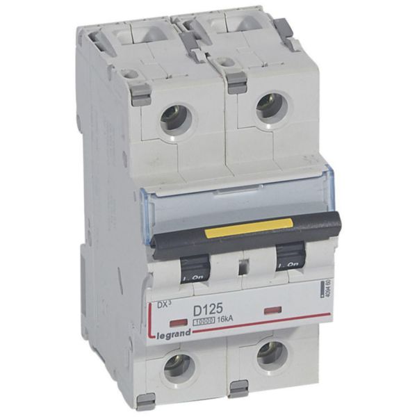 Disjoncteur DX³10000 16kA arrivée haute et départ bas à vis 2P 230V~ à 400V~ - 125A - courbe D - 3 modules - Page 26