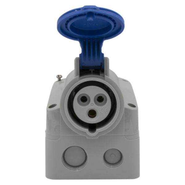 Prise saillie fixe P17 IP44 16A - 200V~ à 250V~ - 2P+T