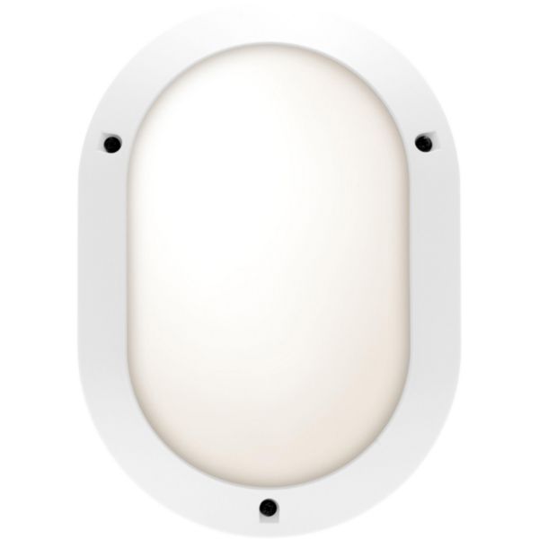 Hublot ovale Chartres Origine Alu standard blanc ON/OFF + lampe fluo 1200lm