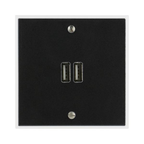 Prise Prise Chargeur USB Type A+A 15W Mémoire finition Cristal Art d'Arnould