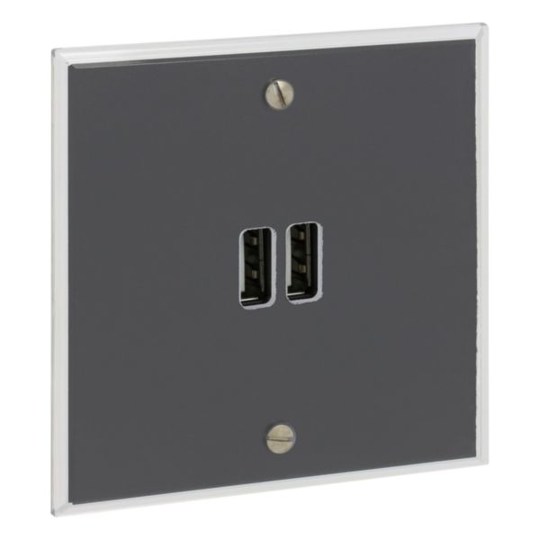 Prise Prise Chargeur USB Type A+A 15W Mémoire finition Cristal Art d'Arnould