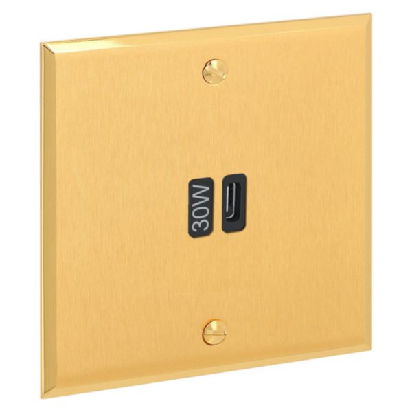 Prise Prise Chargeur USB Type C 30W Power delivery Mémoire finition Or Brossé Art d'Arnould