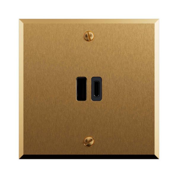 Prise USB type A + C 20W Power Delivery - Mémoire Or Brossé - Art d'Arnould