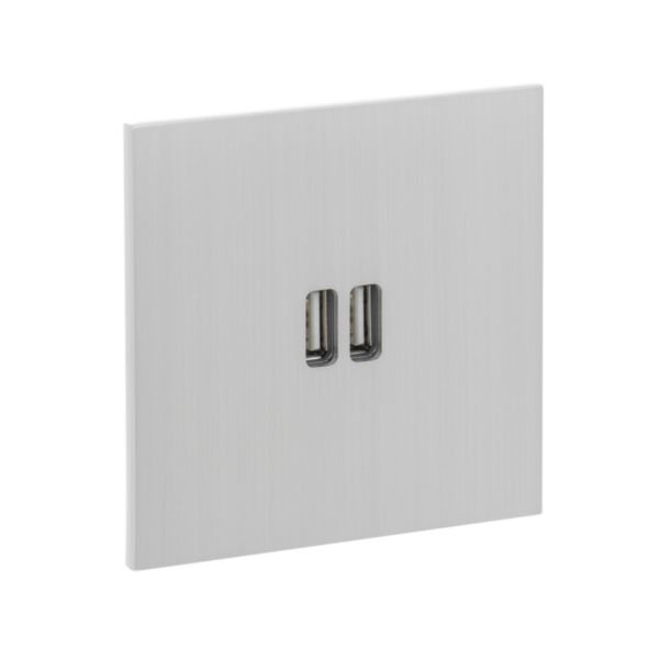 Prise Prise Chargeur USB Type A+A 15W Epure finition Acier Brossé Art d'Arnould 