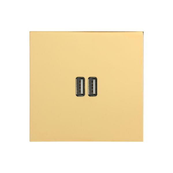 Prise Prise Chargeur USB Type A+A 15W Epure finition Or Miroir Art d'Arnould 