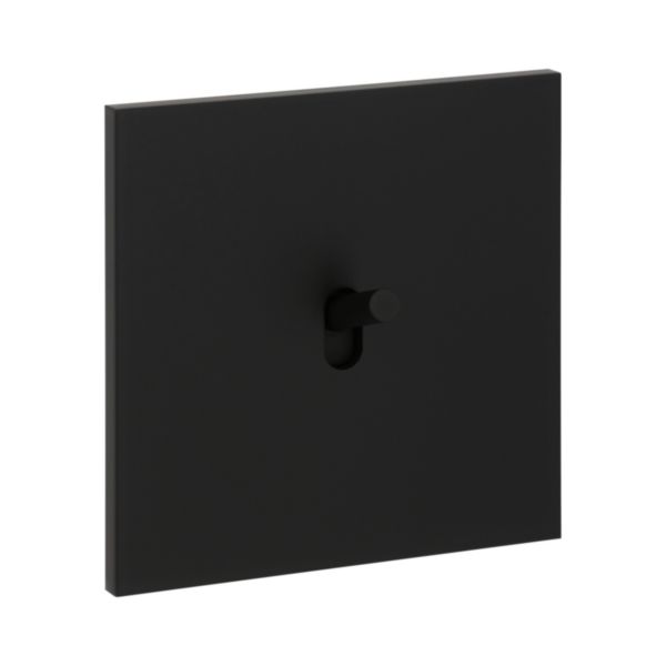 Art d'Arnould univers Epure poussoir 6A - noir mat