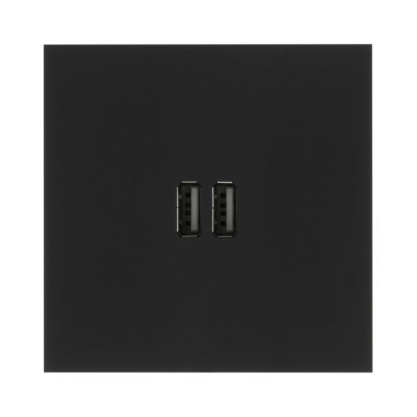 Art d'Arnould univers Epure prise double USB 3A - noir mat