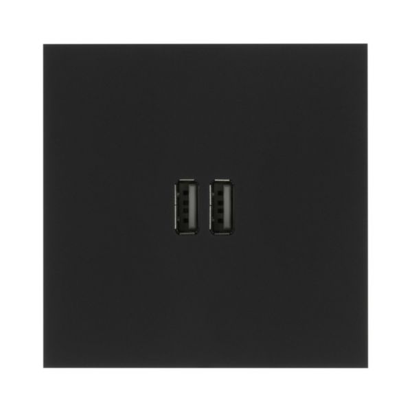 Prise Prise Chargeur USB Type A+A 15W Epure finition Noir Mat Art d'Arnould 