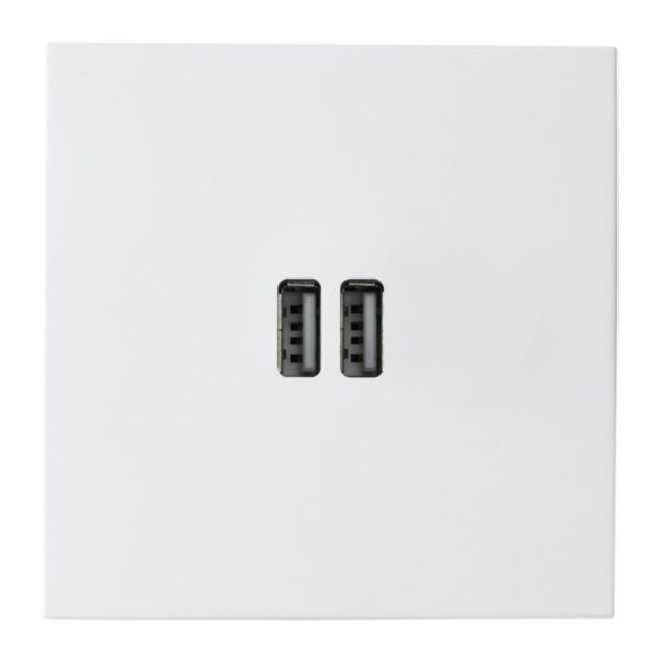 Prise Prise Chargeur USB Type A+A 15W Epure finition Blanc Satin Art d'Arnould 