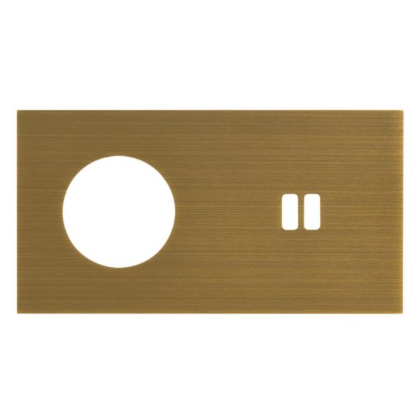 Plaque Prise 2P+T + Prise Chargeur USB 2 postes - Epure Bronze Art d'Arnould